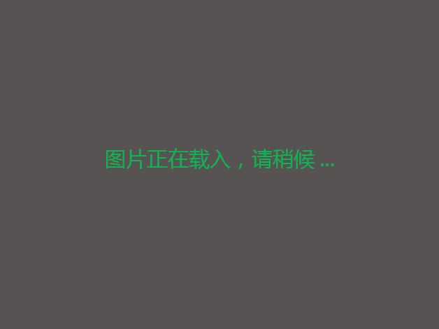 佛山高明更合1147240平方米采矿用地转让，29年年限